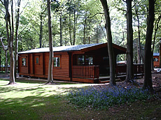 Log cabin holidays